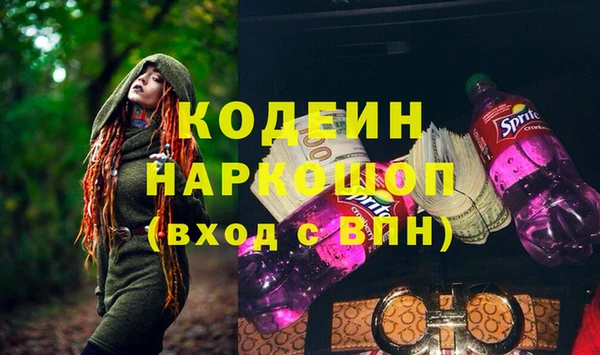 амф Инсар