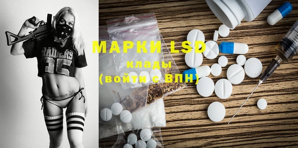 спайс Инта