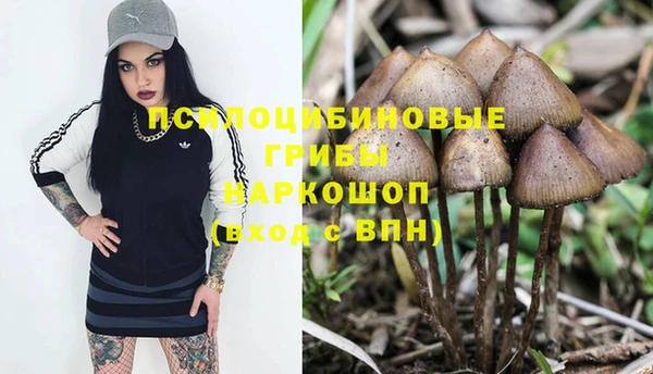 амф Инсар