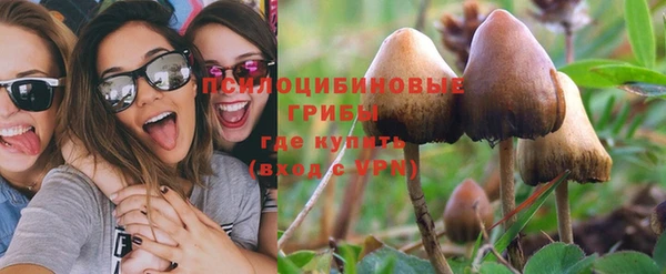 амф Инсар