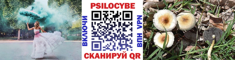 Купить где  Трёхгорный  Псилоцибиновые грибы Cubensis 